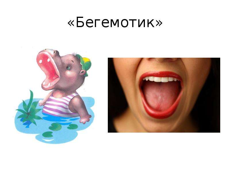 «Бегемотик».