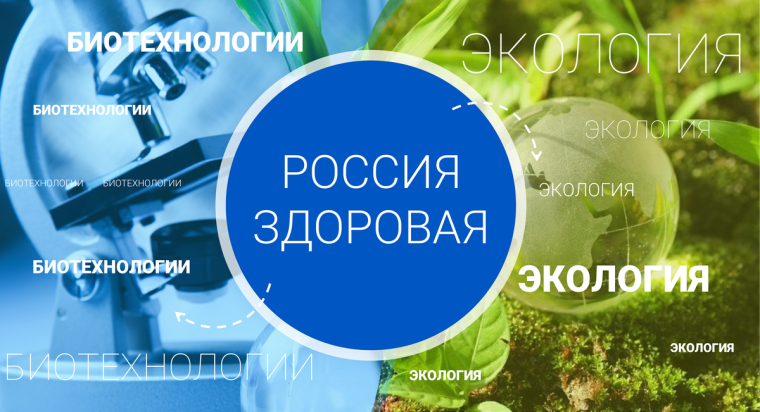 Тематическое профориентационное занятие «Россия здоровая: биотехнологии, экология».