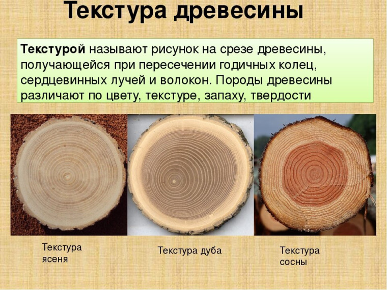 «Потребление древесины по основным видам».
